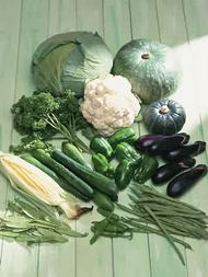 健康人生的時尚飲食 多圖