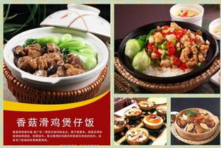 餐飲管理市場行情與信息發布指南